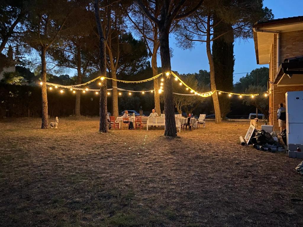 Guirlande Lumineuse Étanche 15 Douilles IP65 pour Terrasse Extérieure